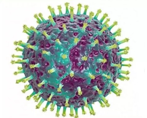 Рис.1. Вирус гриппа.jpg